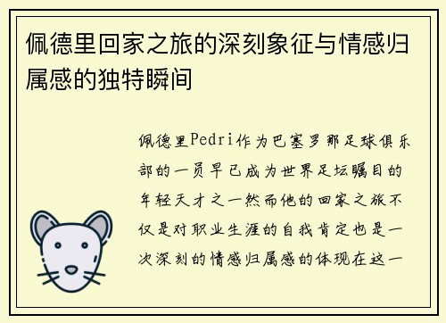 佩德里回家之旅的深刻象征与情感归属感的独特瞬间