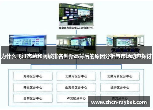 为什么飞汀杰蔚和阀敏排名创新高背后的原因分析与市场动态探讨