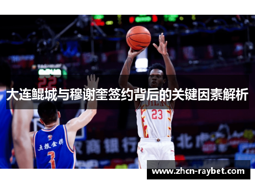 大连鲲城与穆谢奎签约背后的关键因素解析
