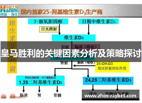 皇马胜利的关键因素分析及策略探讨